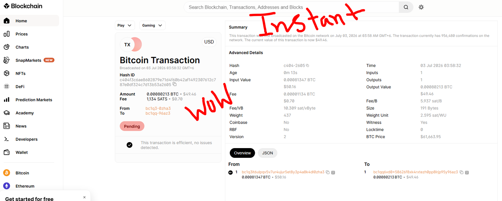 Payment Proof