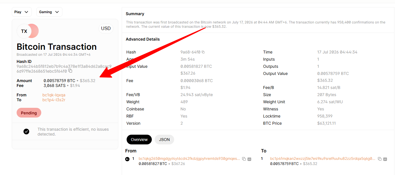 Payment Proof